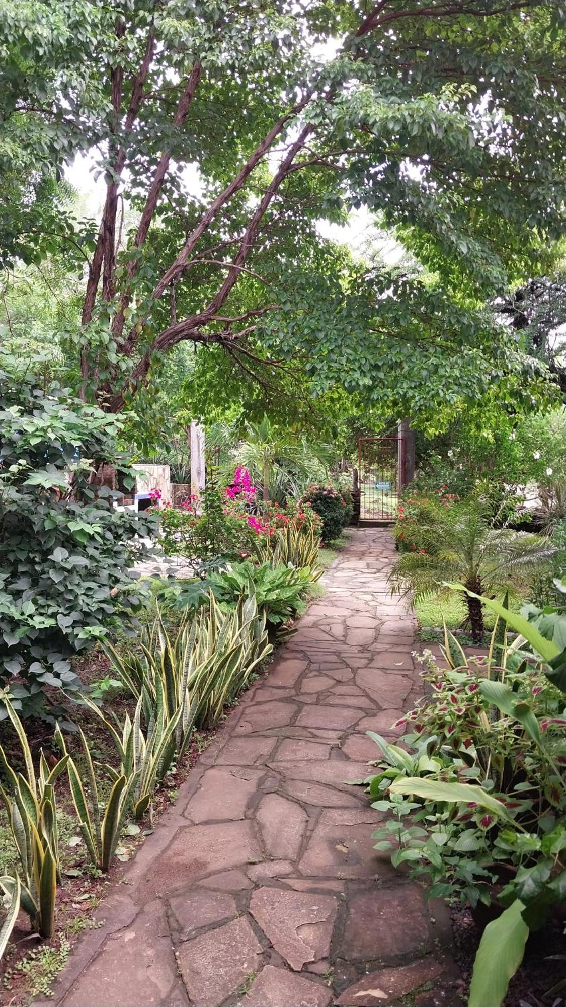Casa Todo Bueno Bed & Breakfast Transito Exterior photo