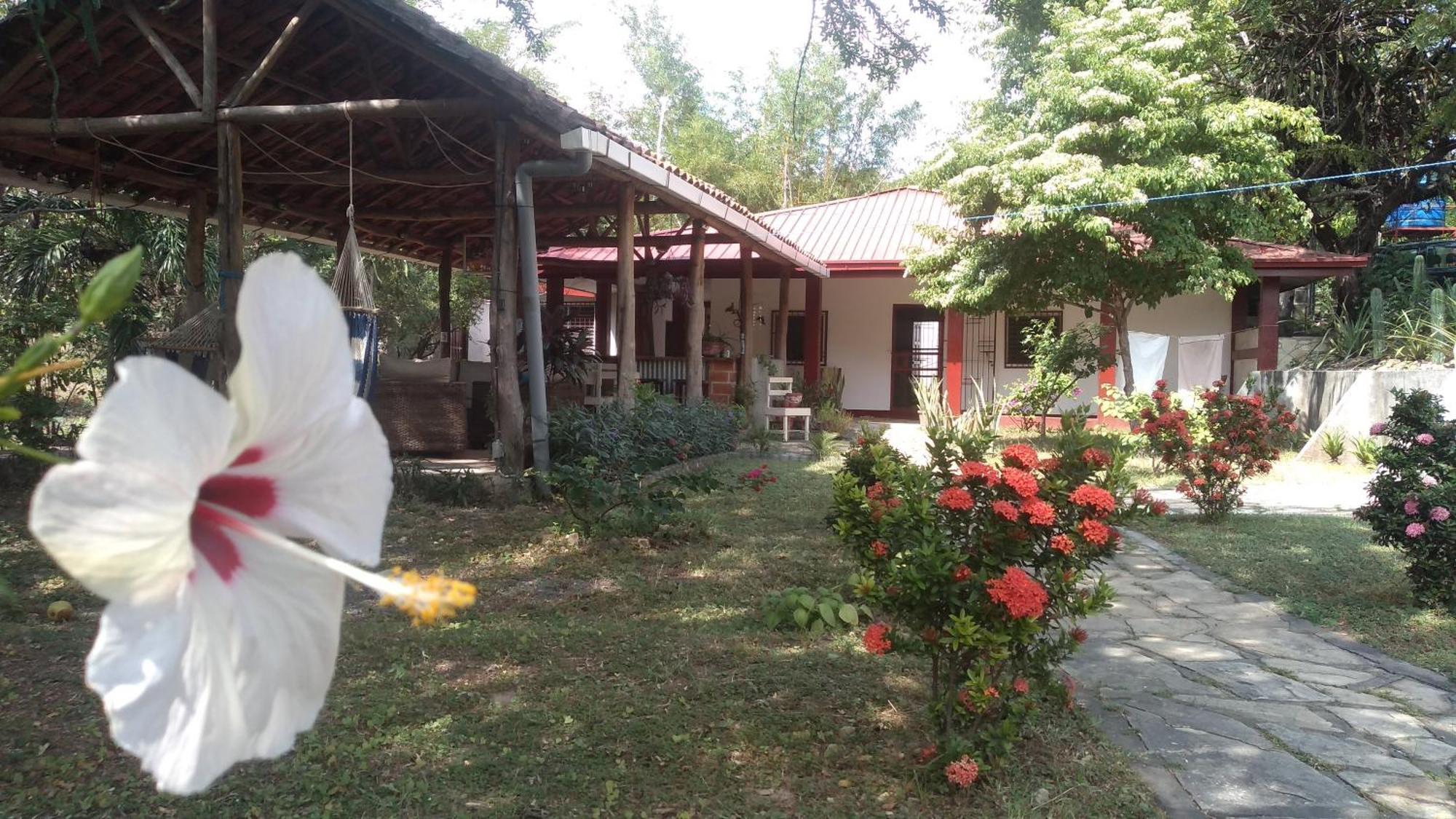 Casa Todo Bueno Bed & Breakfast Transito Exterior photo